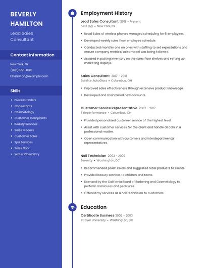 Resume example 4