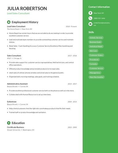 Resume example 5
