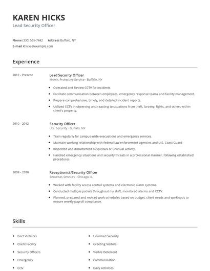 Lead Security Officer Resume
