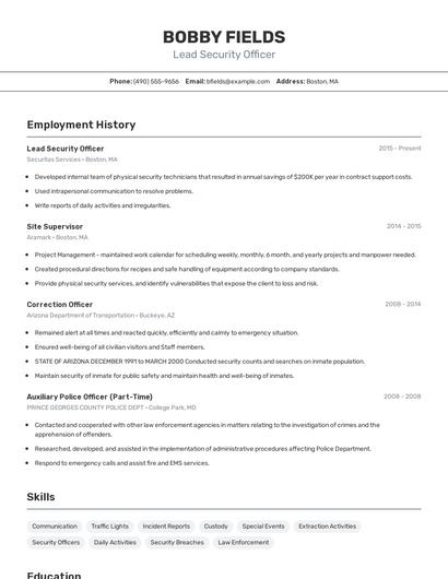Lead Security Officer Resume