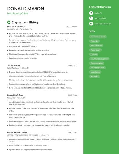 Resume example 4