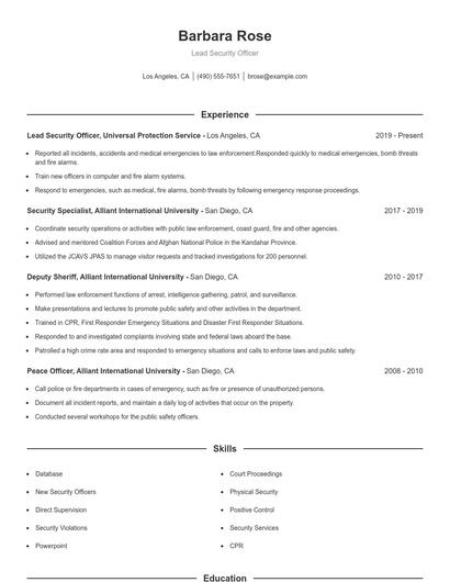Lead Security Officer Resume