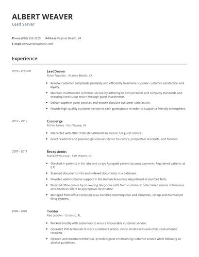 Lead Server Resume