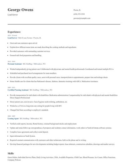 Lead Server Resume