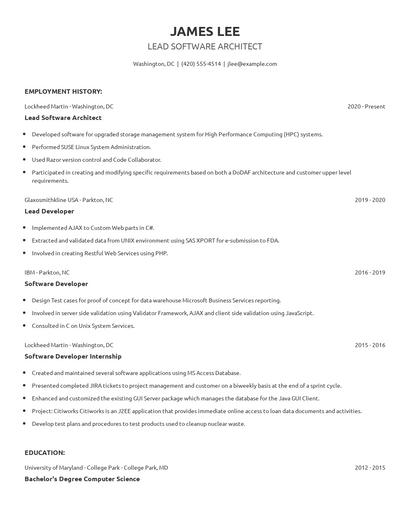 Lead Software Architect Resume