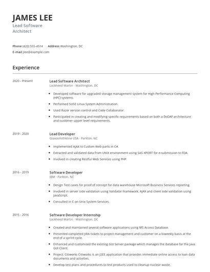 Lead Software Architect Resume