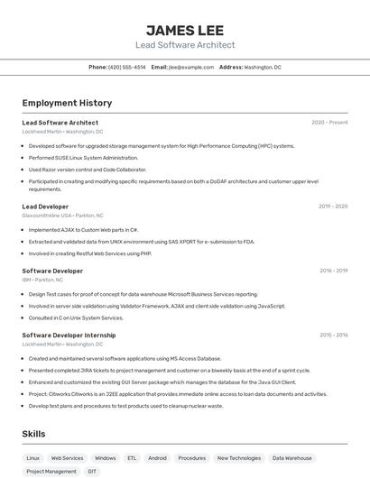 Lead Software Architect Resume