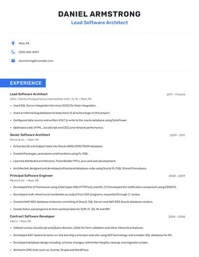Lead Software Architect Resume