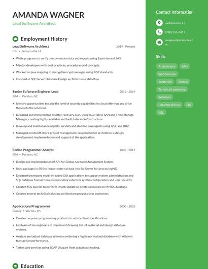 Lead Software Architect Resume