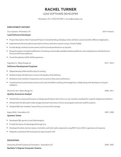 Lead Software Developer Resume