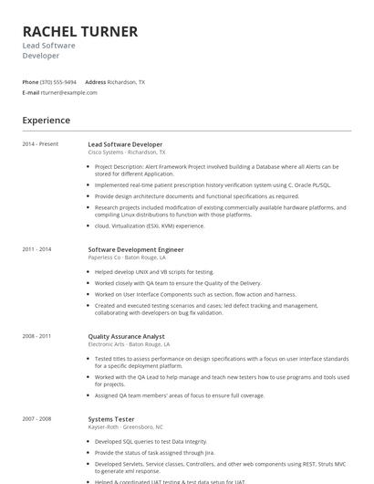 Lead Software Developer Resume