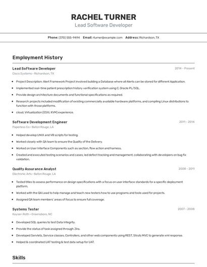 Lead Software Developer Resume