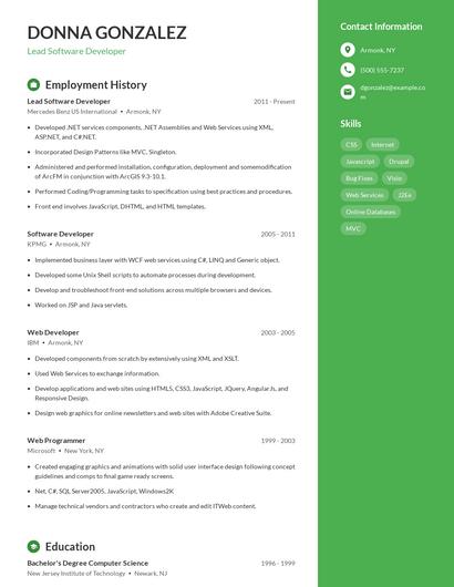 Resume example 4