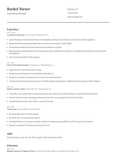 Lead Software Developer Resume