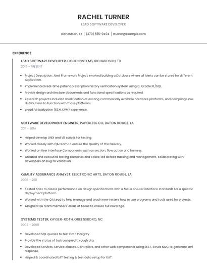 Lead Software Developer Resume