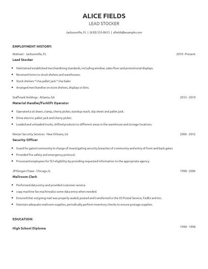 Lead Stocker Resume