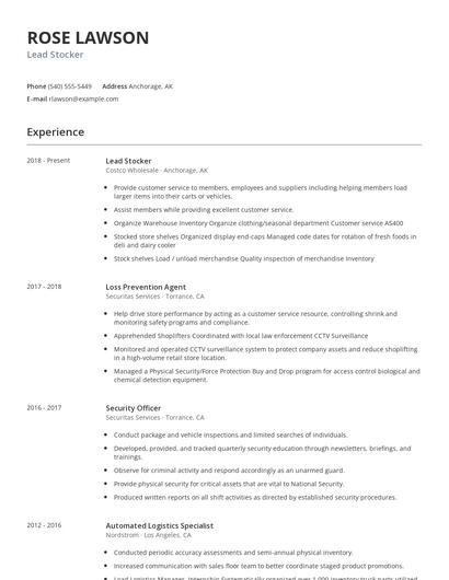 Lead Stocker Resume