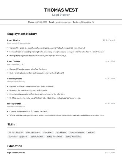 Lead Stocker Resume