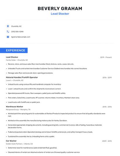 Lead Stocker Resume