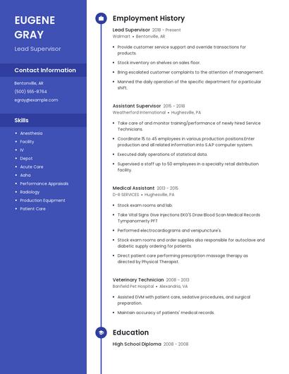 Resume example 5