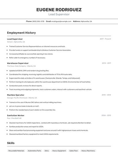 Resume example 2