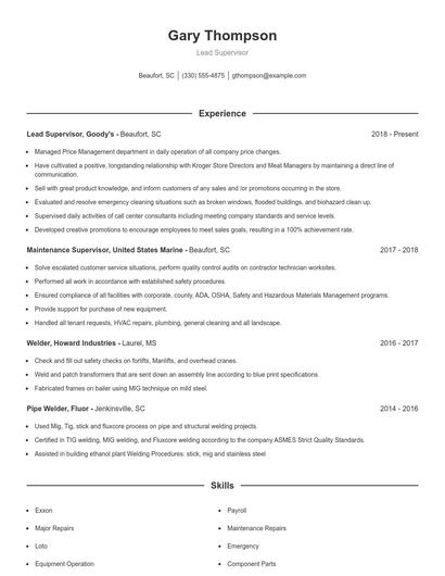 Resume example 1