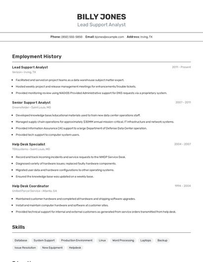 Lead Support Analyst Resume