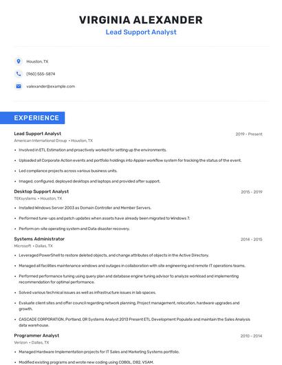 Lead Support Analyst Resume