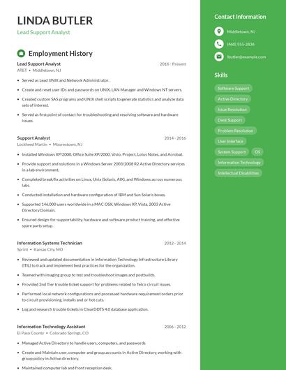 Lead Support Analyst Resume
