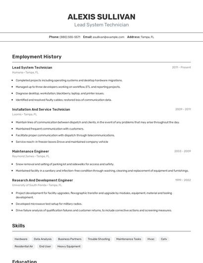 Lead System Technician Resume