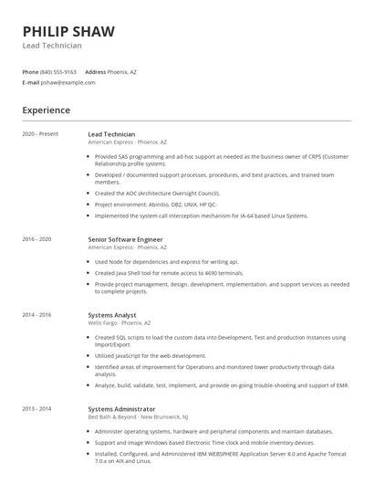 Lead Technician Resume