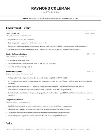 Resume example 2