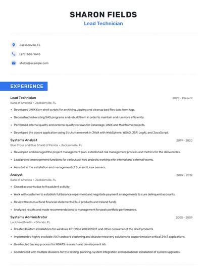 Lead Technician Resume
