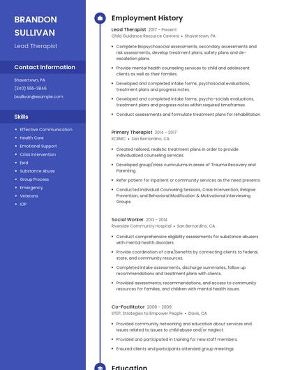 Resume example 5