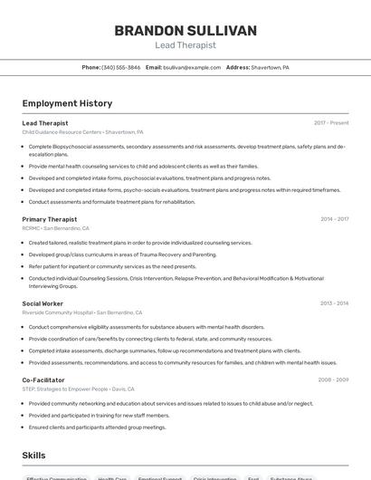 Resume example 2