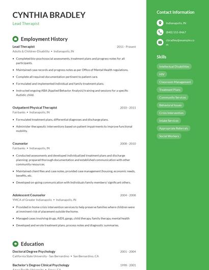 Resume example 4