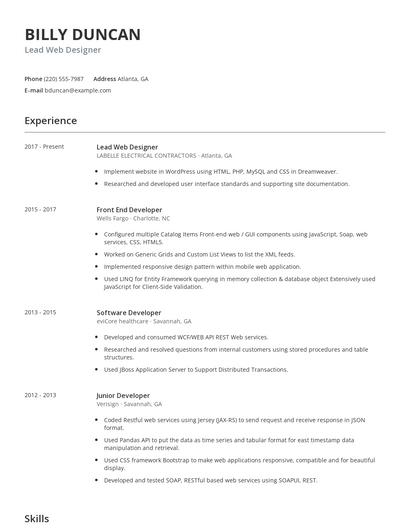 Lead Web Designer Resume