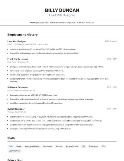Lead Web Designer Resume
