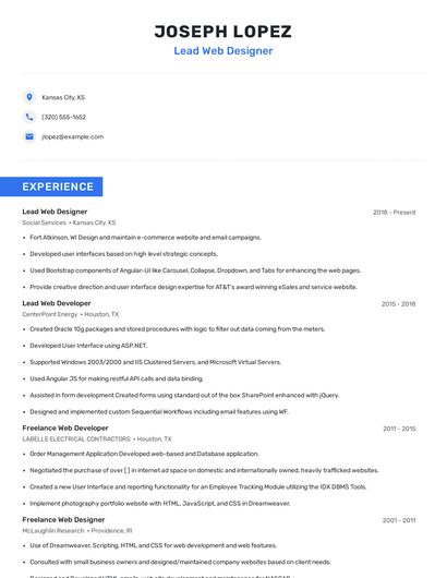 Lead Web Designer Resume