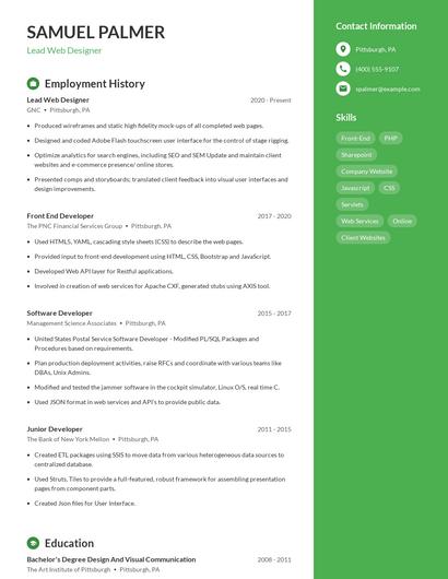 Lead Web Designer Resume