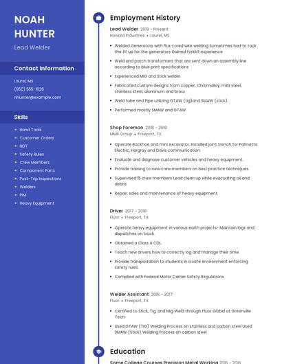 Resume example 5