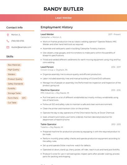 Resume example 3