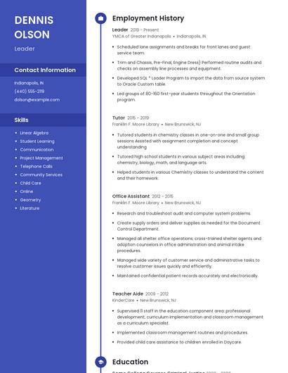 Resume example 4