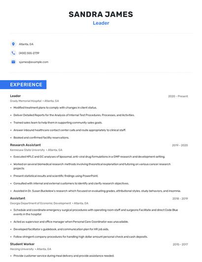 Leader Resume