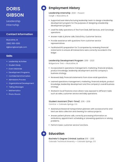 Resume example 5