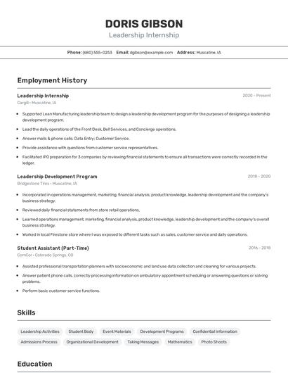 Resume example 2