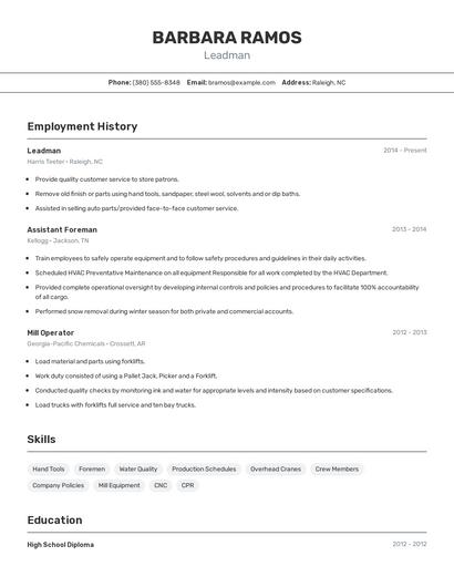 Resume example 2