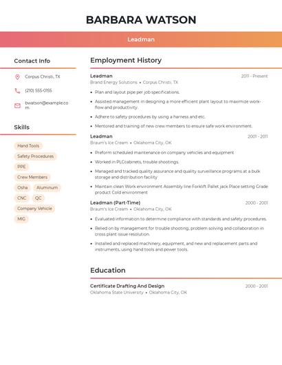 Resume example 3