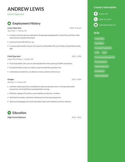 Resume example 5