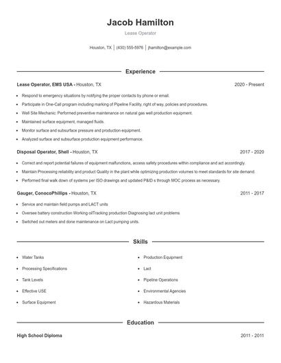 Resume example 1